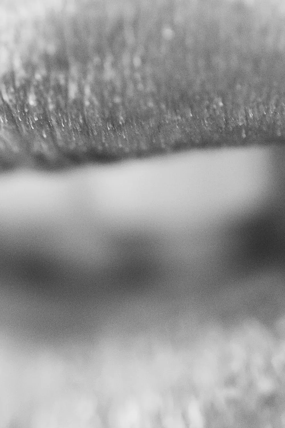 SOULFUL – Bild 4