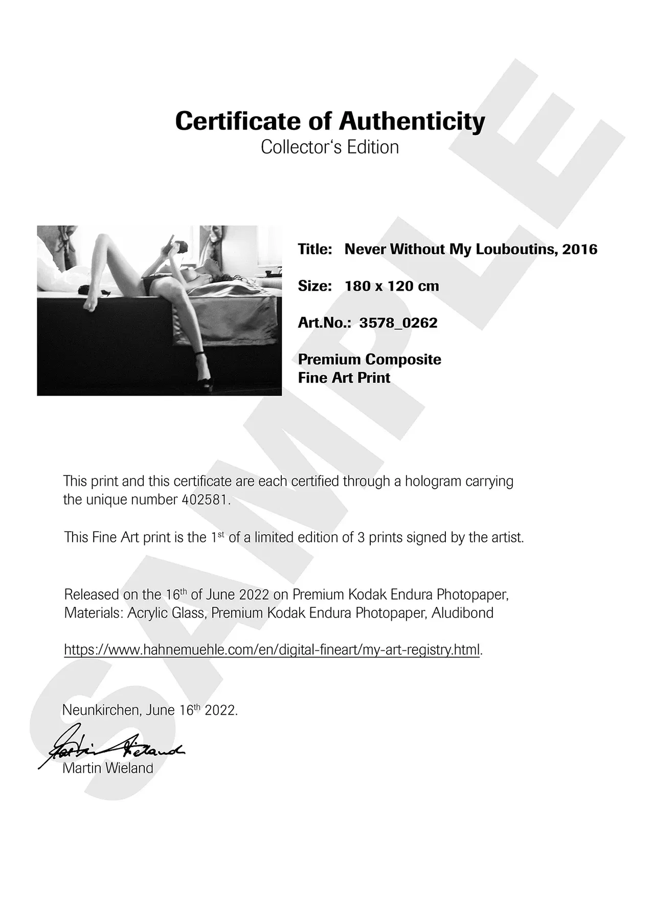 Collector’s Edition – Echtheitszertifikat (COA) – Musterfoto zur Veranschaulichung – Signatur/Nummerierung am Print