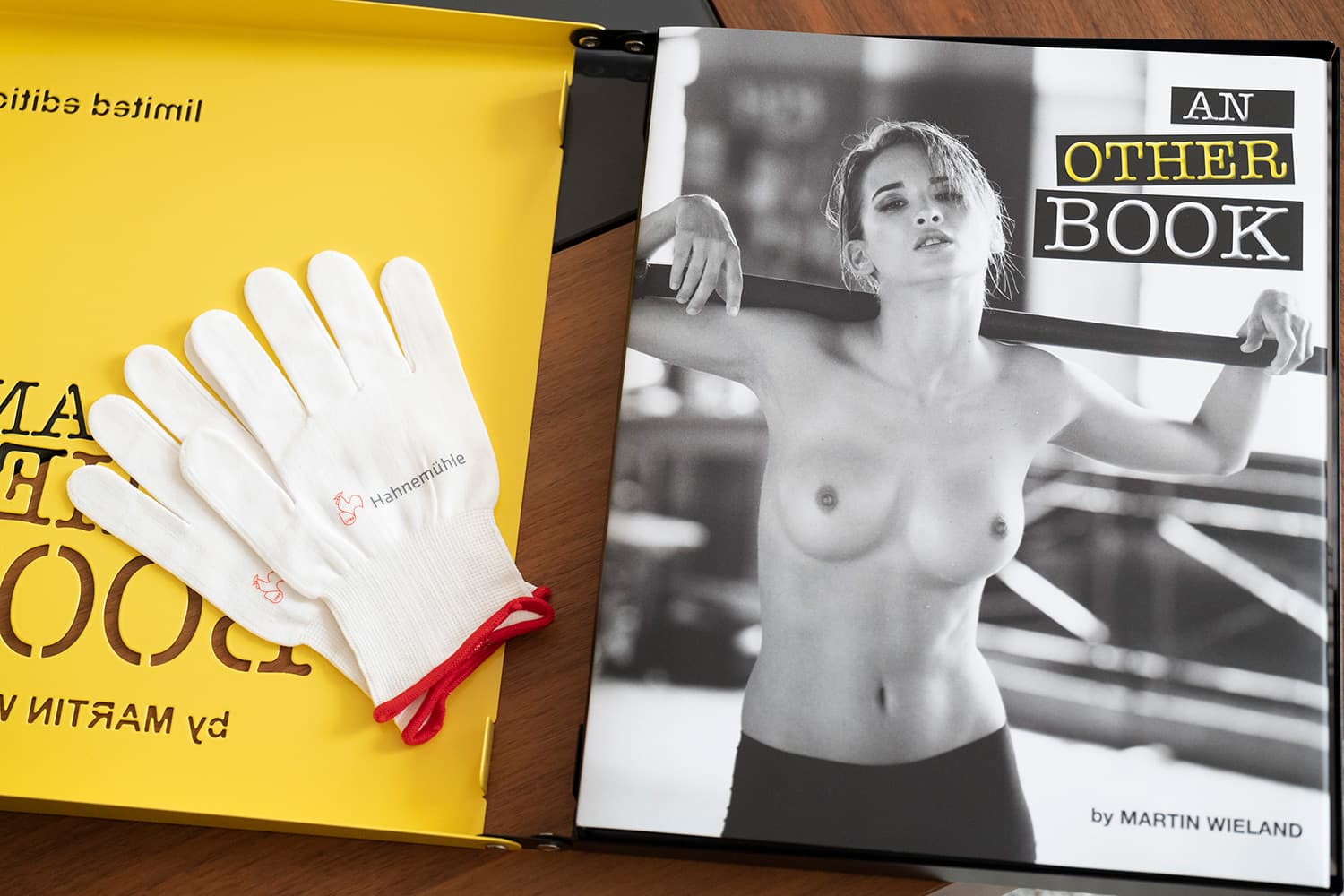 geliefert mit Hahnemühle Handschuhen