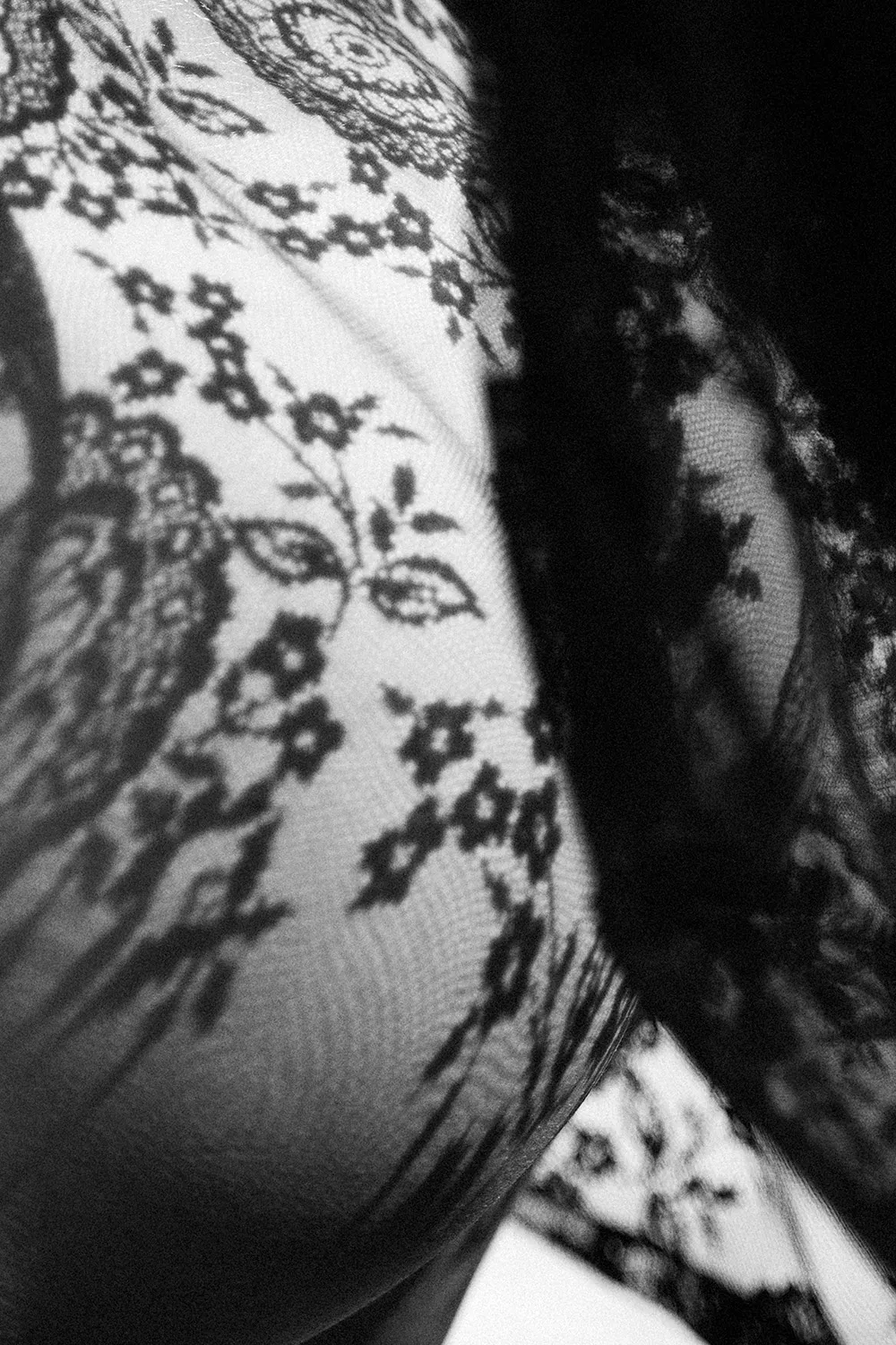 BLOOM, DAMN IT - Image 3