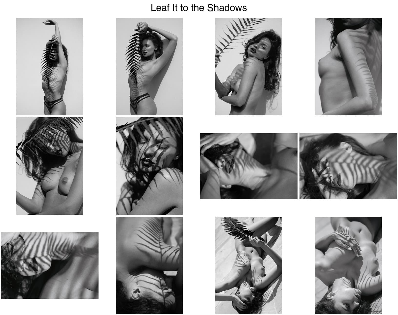 LEAF IT TO THE SHADOWS – Bild 2