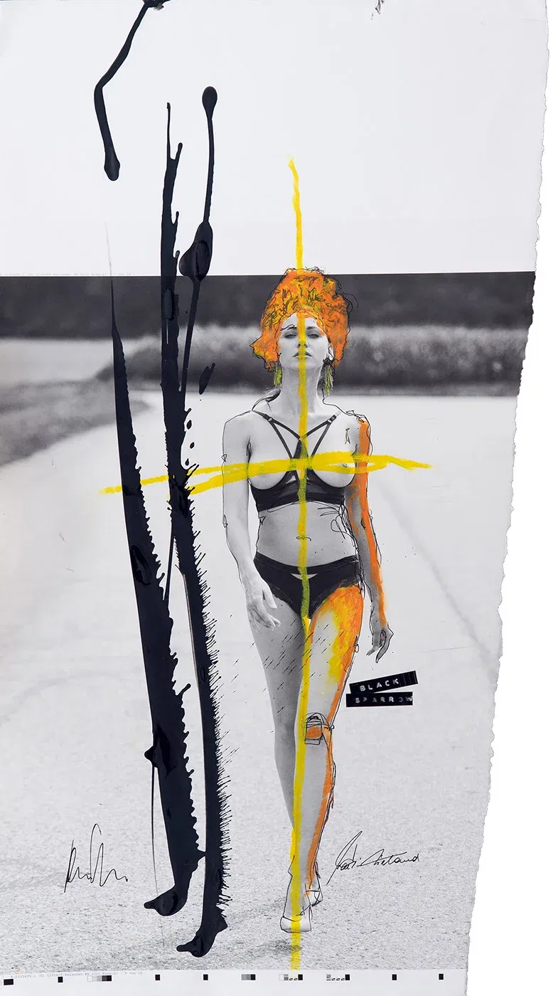 BLACK SPARROW - Image 2