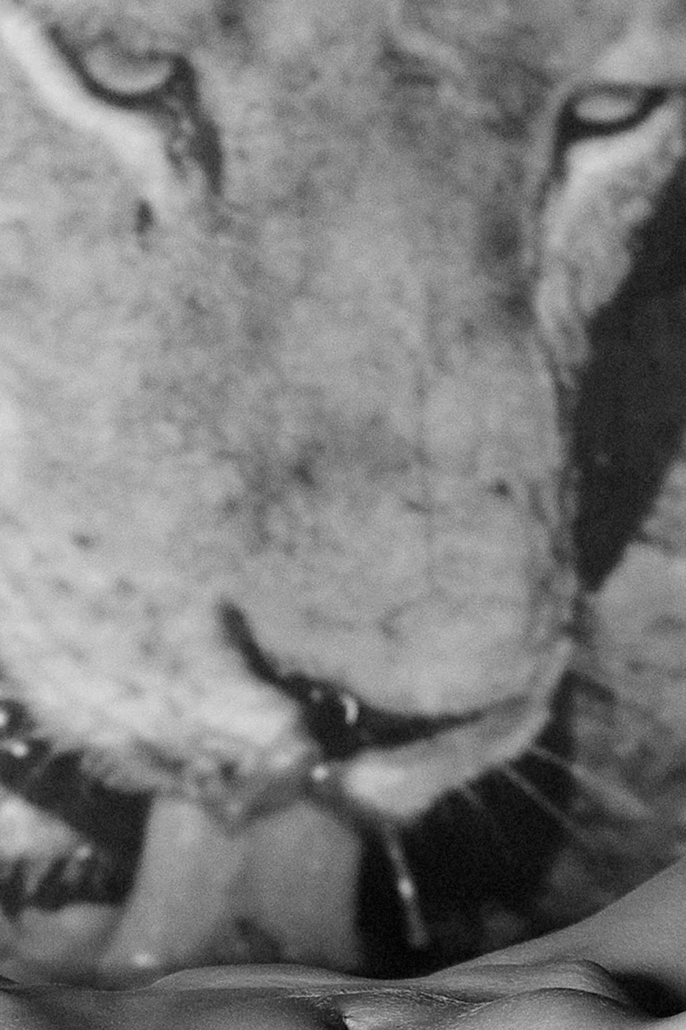 KEEP YOUR EYES ON ME - Image 5