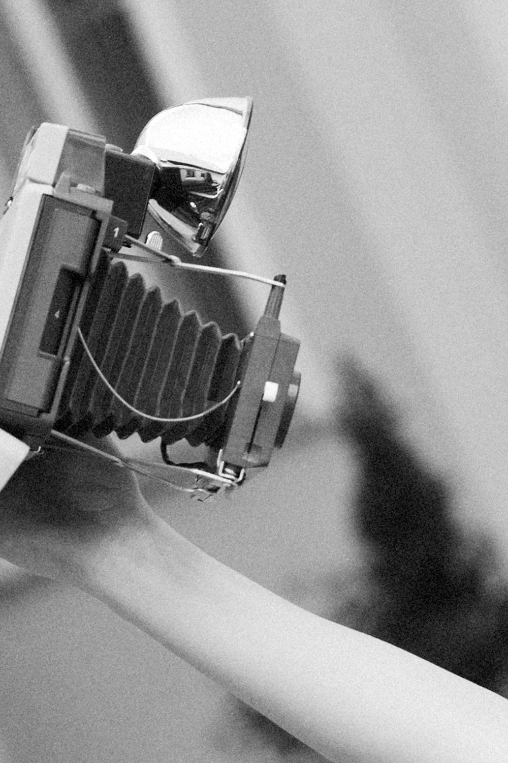 SHOOT FROM SHOOT - Image 4