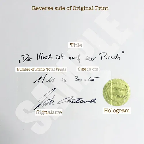 Rückseitenlabel mit Werkdaten und Edition. Wenn man erotische Kunst kaufen möchte ist das ein gutes Zeichen